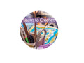 Learn to Crochet Booklet